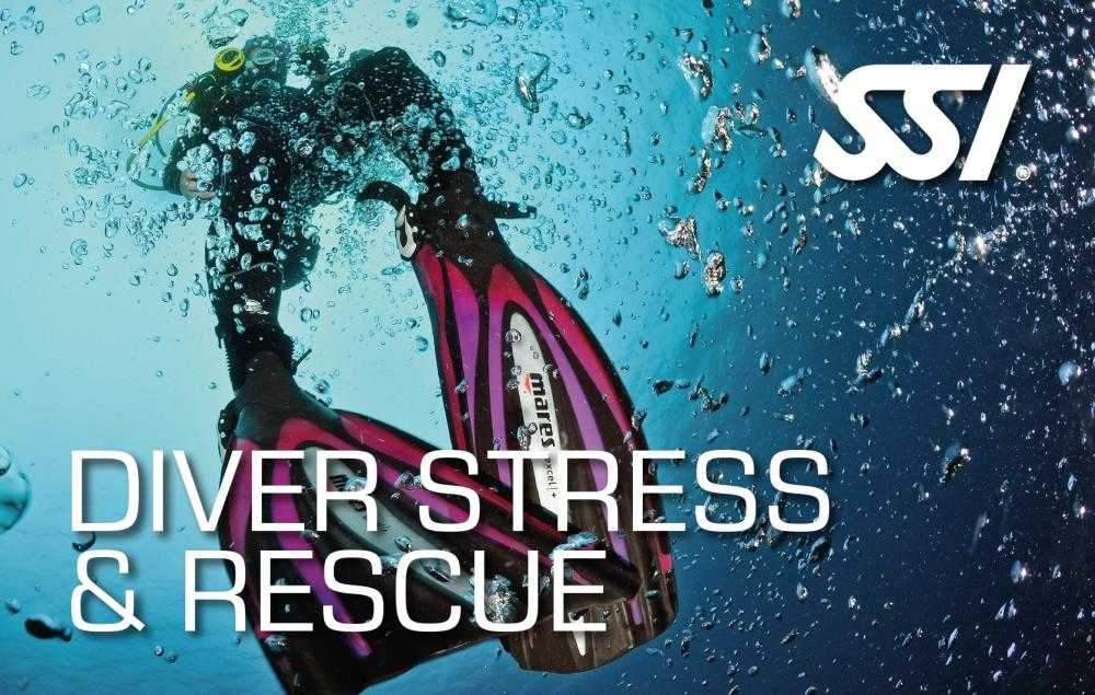 Stress & Rescue