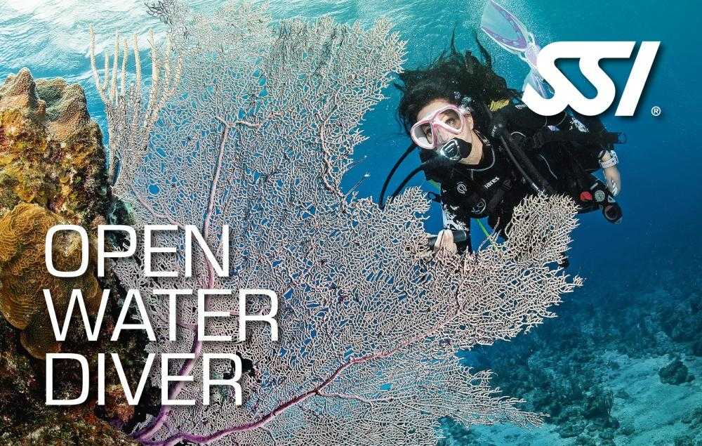 Become a certified diver